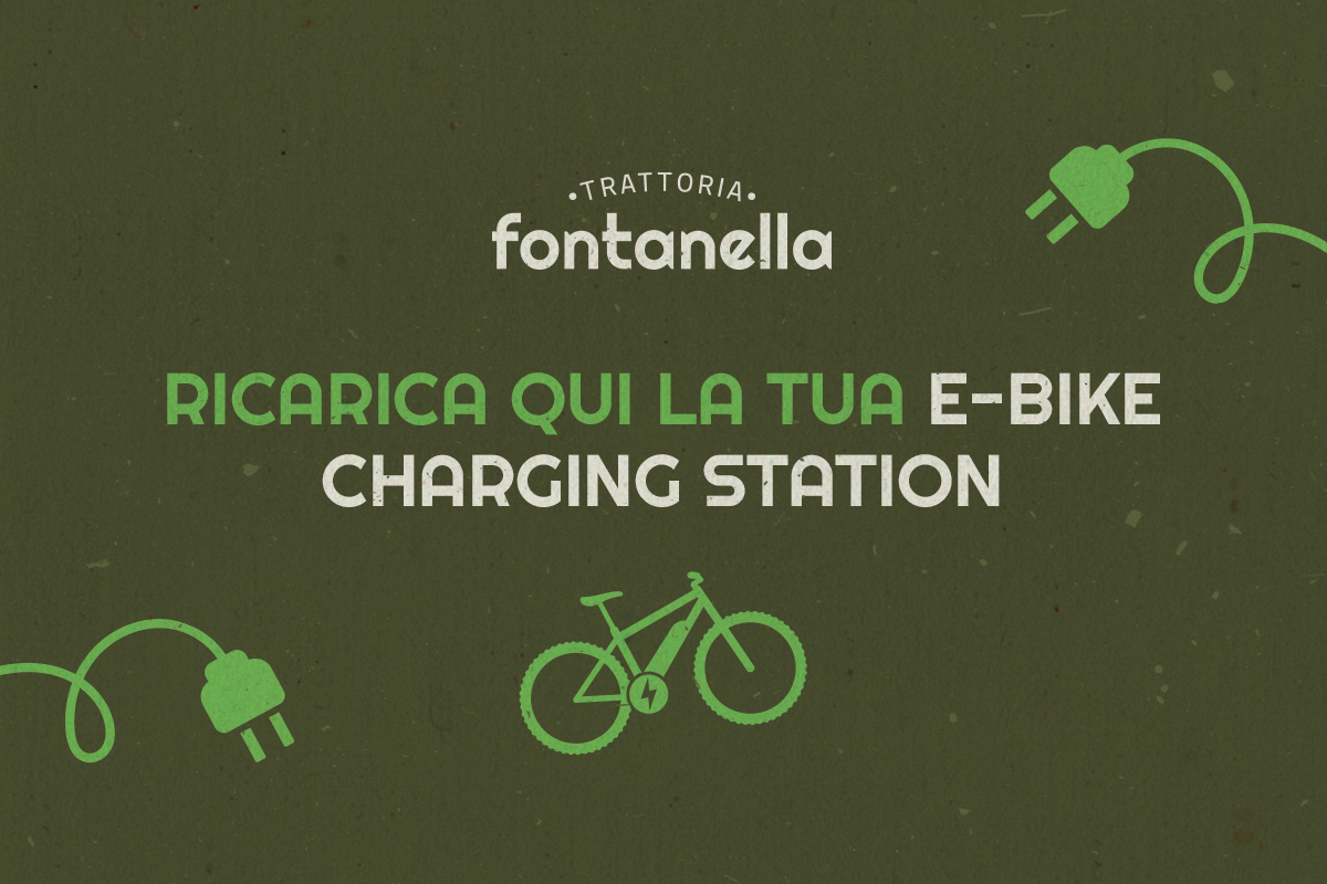 ricarica ebike